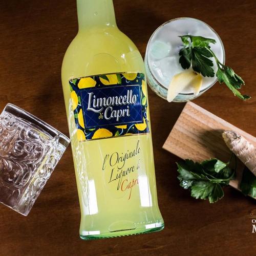 gal-molinari-2