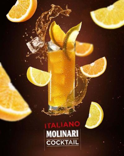 gal-molinari-6