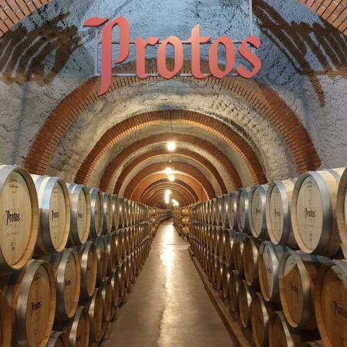 gal-protos-6