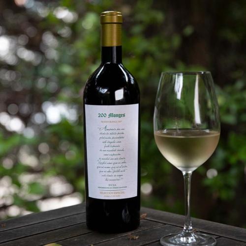 gal-vinicola-real-5